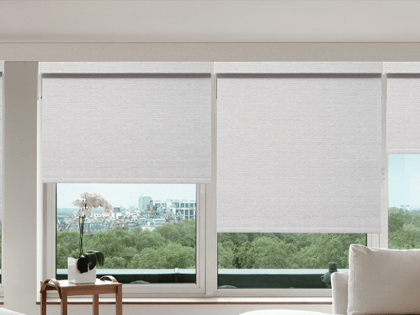 Roller Shades (Semi-Blackout)
